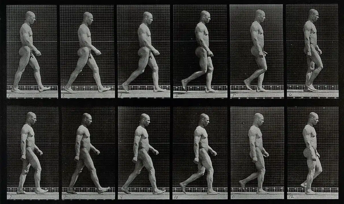 Muybridge serial photography of a man walking.