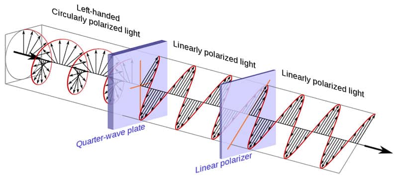 Polarization